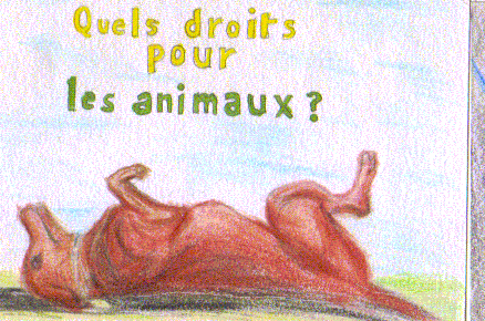204.gif
